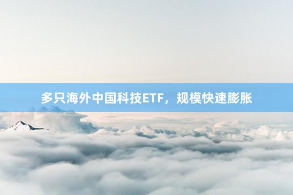 多只海外中国科技ETF，规模快速膨胀