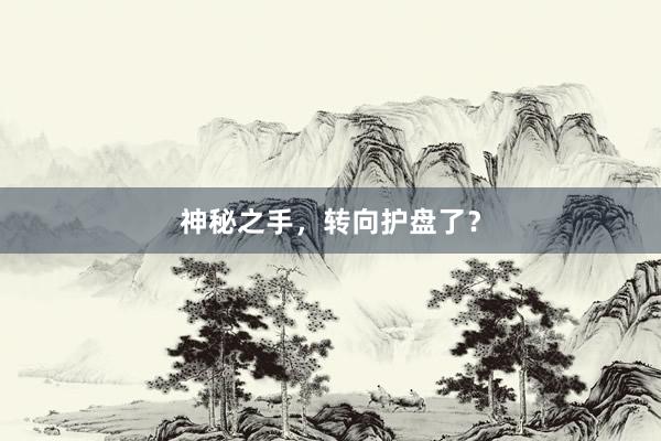 神秘之手，转向护盘了？