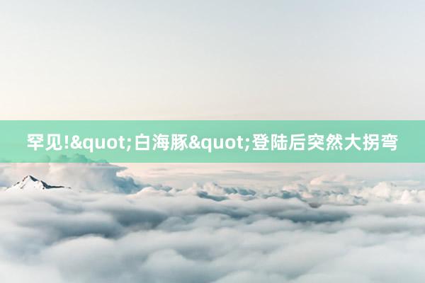 罕见!"白海豚"登陆后突然大拐弯