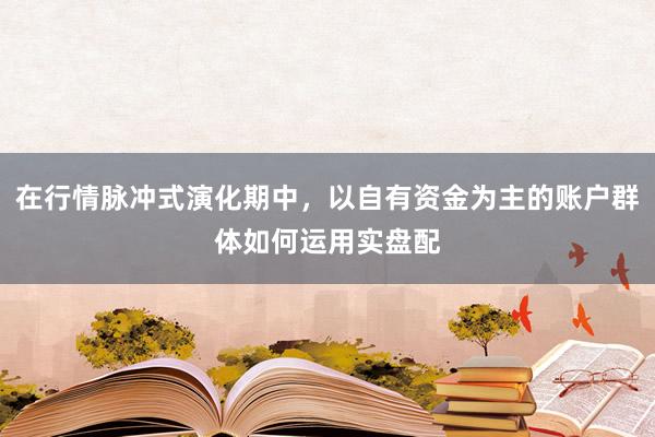 在行情脉冲式演化期中，以自有资金为主的账户群体如何运用实盘配