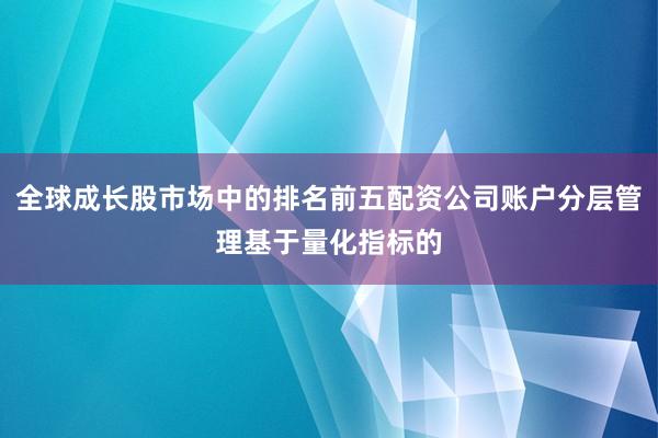 全球成长股市场中的排名前五配资公司账户分层管理基于量化指标的
