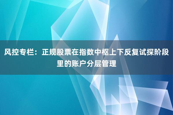 风控专栏：正规股票在指数中枢上下反复试探阶段里的账户分层管理