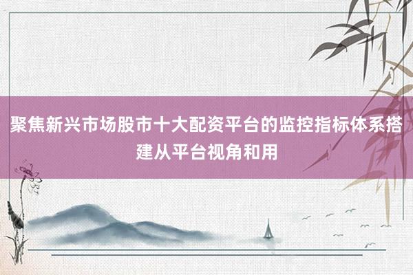 聚焦新兴市场股市十大配资平台的监控指标体系搭建从平台视角和用