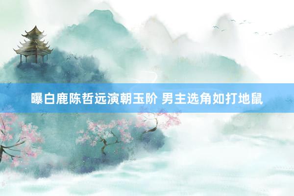 曝白鹿陈哲远演朝玉阶 男主选角如打地鼠