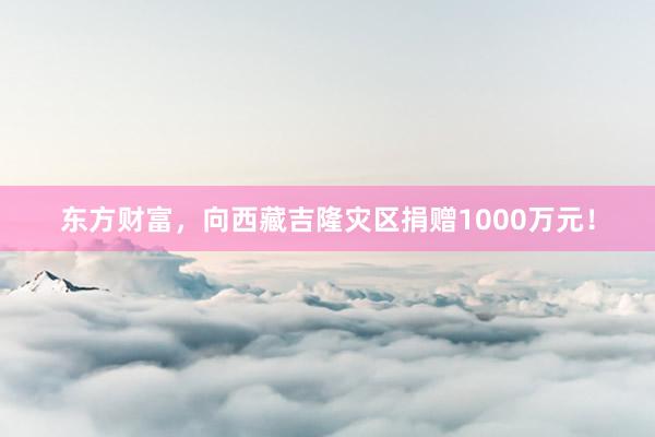 东方财富，向西藏吉隆灾区捐赠1000万元！