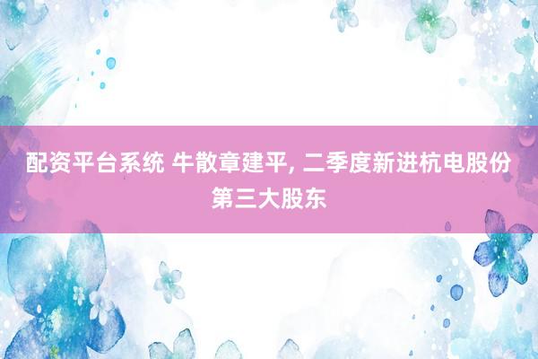 配资平台系统 牛散章建平, 二季度新进杭电股份第三大股东