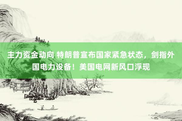 主力资金动向 特朗普宣布国家紧急状态，剑指外国电力设备！美国电网新风口浮现