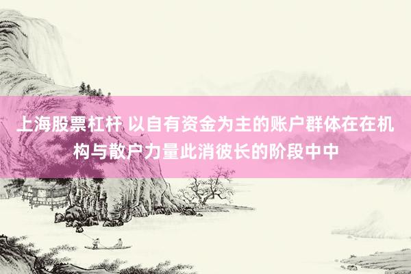 上海股票杠杆 以自有资金为主的账户群体在在机构与散户力量此消彼长的阶段中中