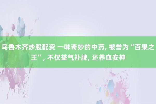 乌鲁木齐炒股配资 一味奇妙的中药, 被誉为“百果之王”, 不仅益气补脾, 还养血安神