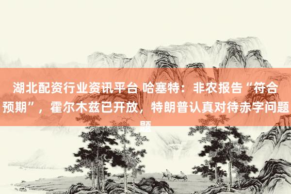 湖北配资行业资讯平台 哈塞特：非农报告“符合预期”，霍尔木兹已开放，特朗普认真对待赤字问题