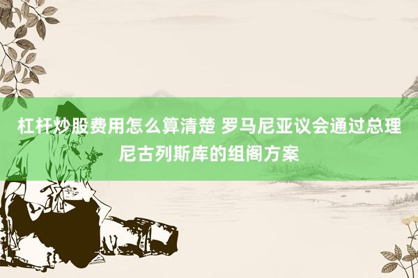 杠杆炒股费用怎么算清楚 罗马尼亚议会通过总理尼古列斯库的组阁方案
