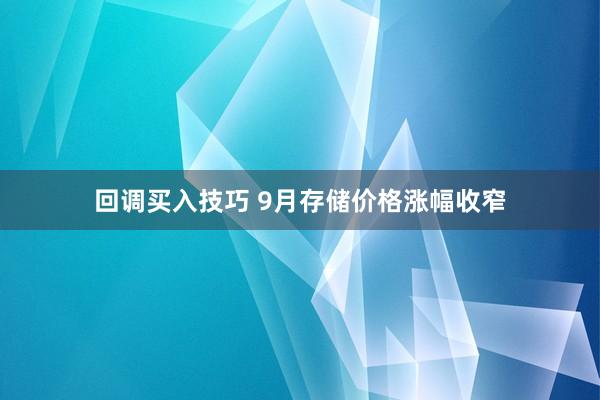 回调买入技巧 9月存储价格涨幅收窄
